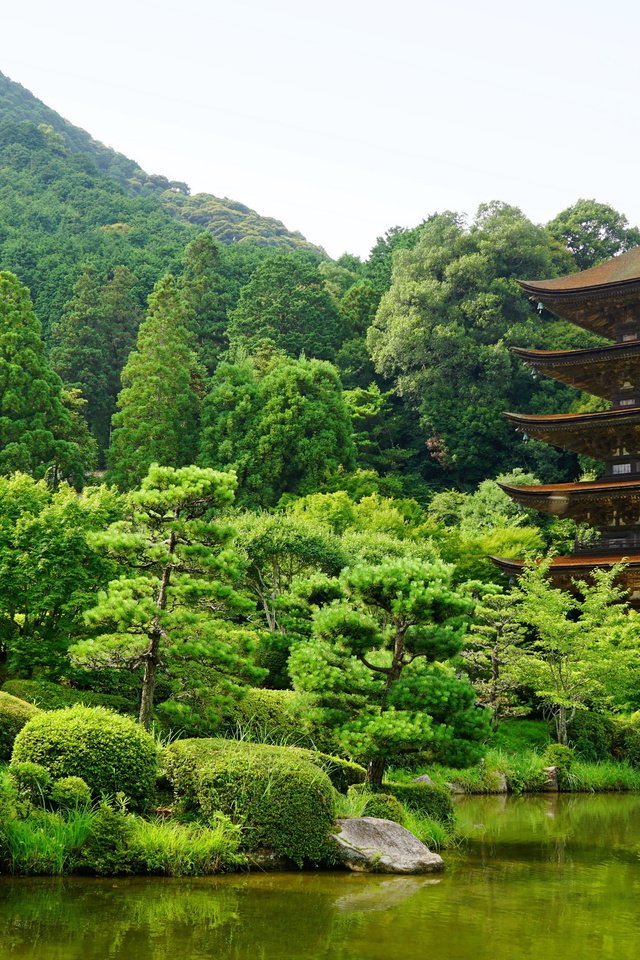 Обои деревья, горы, пагода, япония, пруд, ямагучи, trees, mountains, pagoda, japan, pond, yamaguchi разрешение 4800x3200 Загрузить