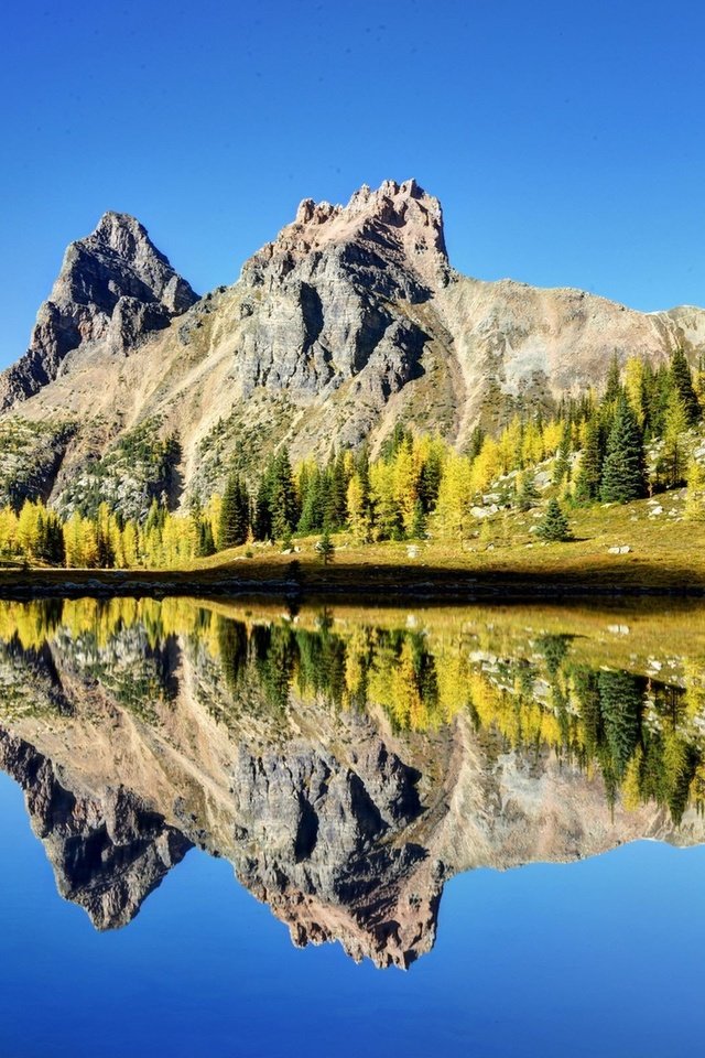 Обои небо, трава, озеро, горы, отражение, the sky, grass, lake, mountains, reflection разрешение 2560x1600 Загрузить