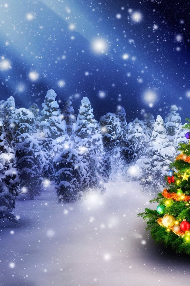 Обои елочные украшения, снег, новый год, елка, зима, звезды, праздник, рождество, елочные игрушки, snow, new year, tree, winter, stars, holiday, christmas, christmas decorations разрешение 2560x1447 Загрузить