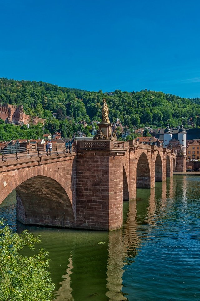 Обои гейдельберг, река, neckar river, мост, старый мост, замок, дома, здания, германия, баден-вюртемберг, гейдельбергский замок, heidelberg, river, bridge, old bridge, castle, home, building, germany, baden-württemberg, heidelberg castle разрешение 2048x1367 Загрузить