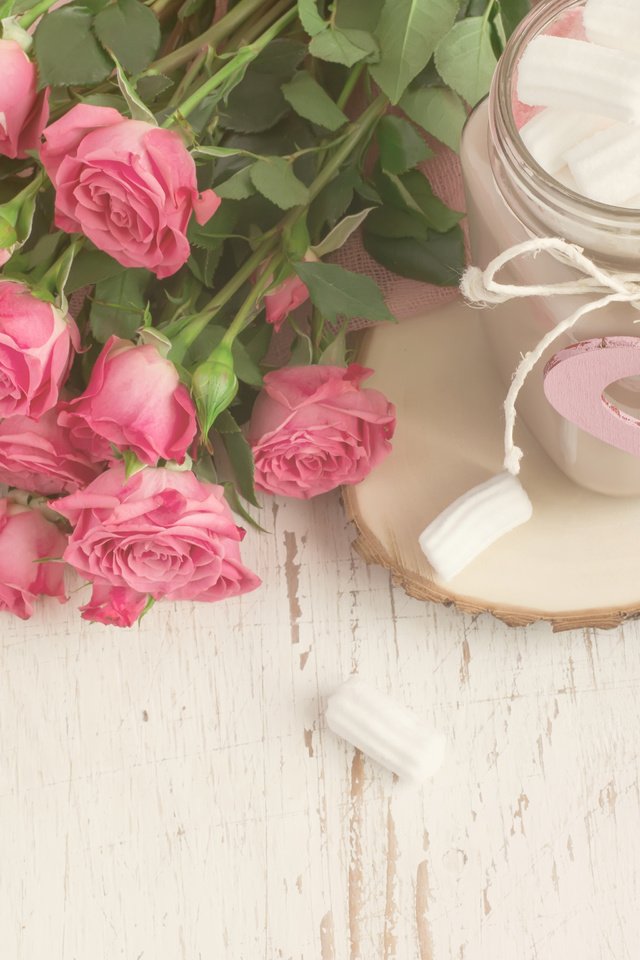 Обои розы, кружка, букет, зефир, какао, маршмеллоу, colnihko, roses, mug, bouquet, marshmallows, cocoa разрешение 4608x3072 Загрузить