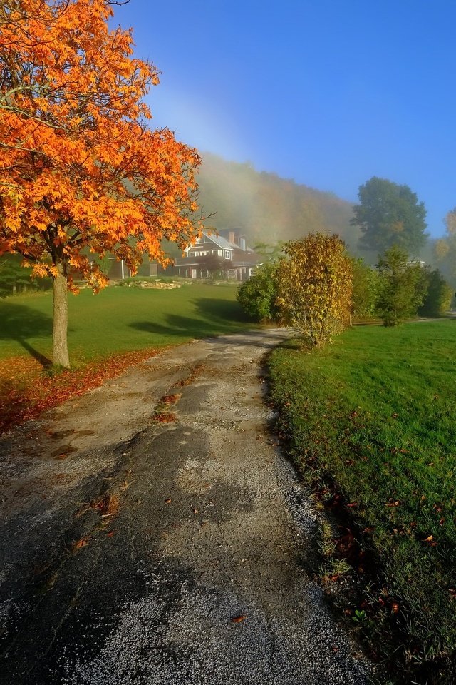 Обои дорога, деревья, природа, осень, дороги, road, trees, nature, autumn разрешение 2048x1365 Загрузить