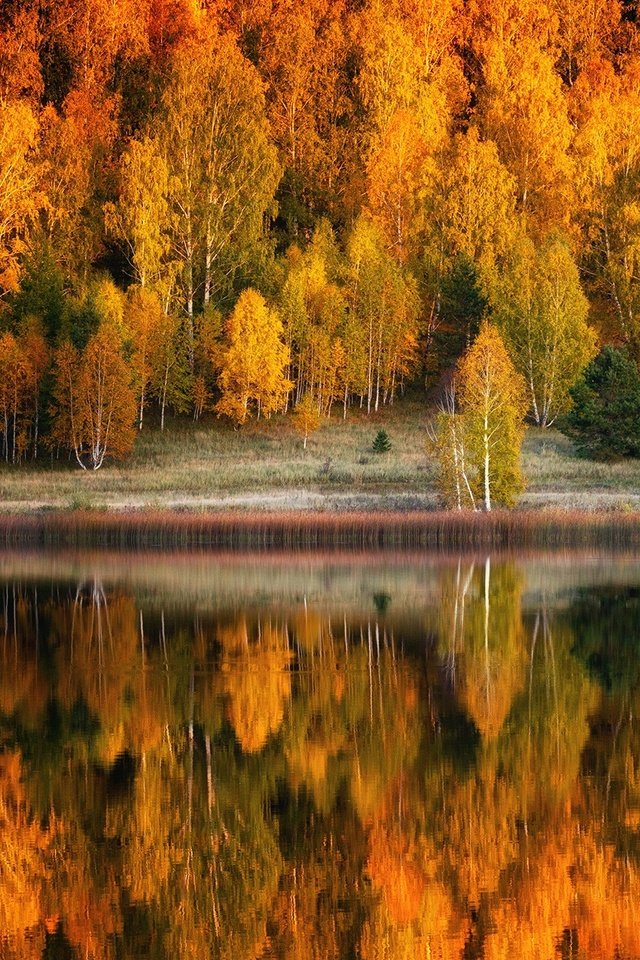 Обои деревья, озеро, природа, берег, лес, отражение, пейзаж, осень, trees, lake, nature, shore, forest, reflection, landscape, autumn разрешение 1920x1280 Загрузить