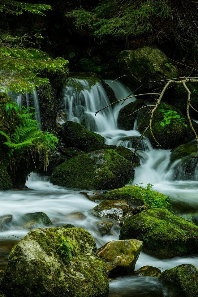 Обои камни, лес, водопад, поток, мох, stones, forest, waterfall, stream, moss разрешение 3840x2160 Загрузить