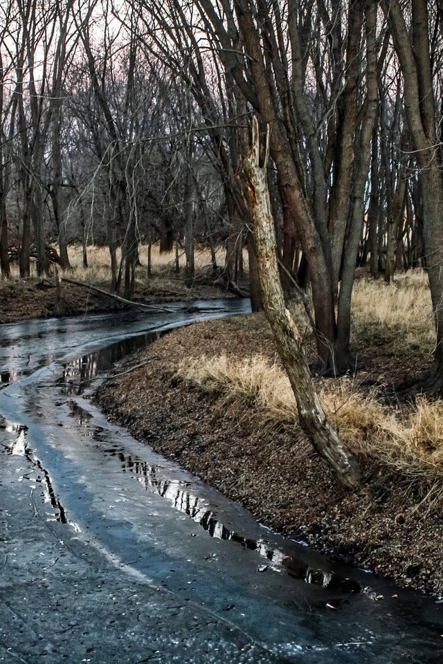 Обои деревья, река, природа, trees, river, nature разрешение 3840x2160 Загрузить