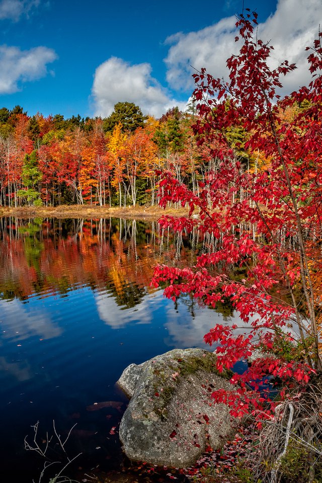 Обои деревья, озеро, природа, лес, пейзаж, осень, trees, lake, nature, forest, landscape, autumn разрешение 2048x1360 Загрузить
