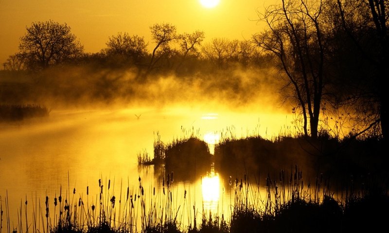 Обои восход, солнце, болото, sunrise, the sun, swamp разрешение 1999x1333 Загрузить