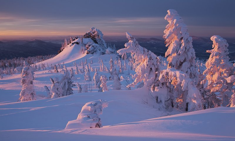 Обои снег, природа, лес, закат, зима, snow, nature, forest, sunset, winter разрешение 1920x1200 Загрузить