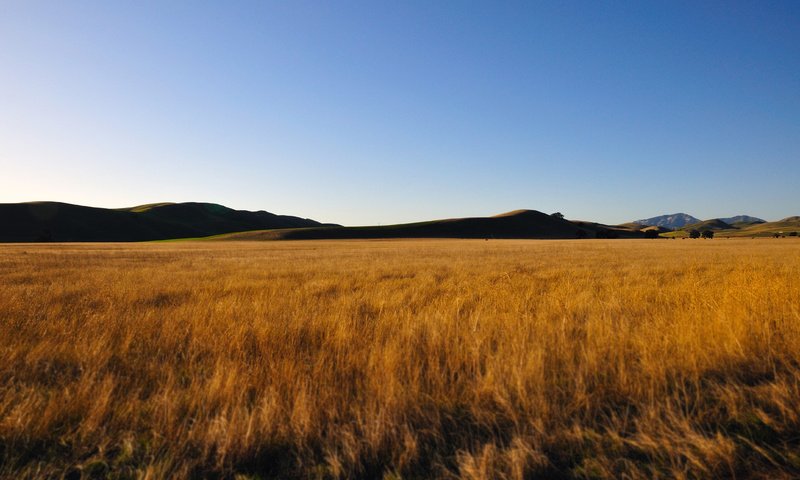 Обои небо, горы, поле, пшеница, the sky, mountains, field, wheat разрешение 4288x2848 Загрузить
