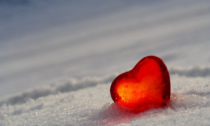 Обои снег, лёд, сердце, snow, ice, heart разрешение 2560x1600 Загрузить