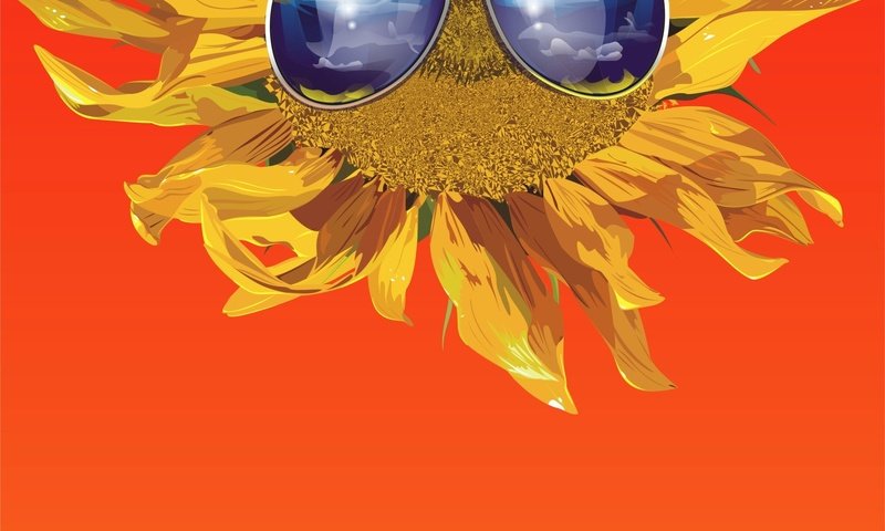 Обои вектор, очки, подсолнух, оранжевый, vector, glasses, sunflower, orange разрешение 1920x1440 Загрузить