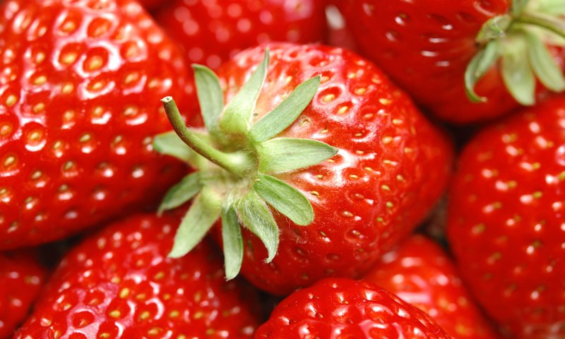 Обои лето, еда, клубника, красный, ягоды, summer, food, strawberry, red, berries разрешение 1920x1200 Загрузить