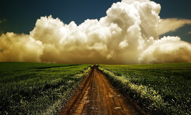 Обои дорога, поле, облако, road, field, cloud разрешение 2560x1600 Загрузить