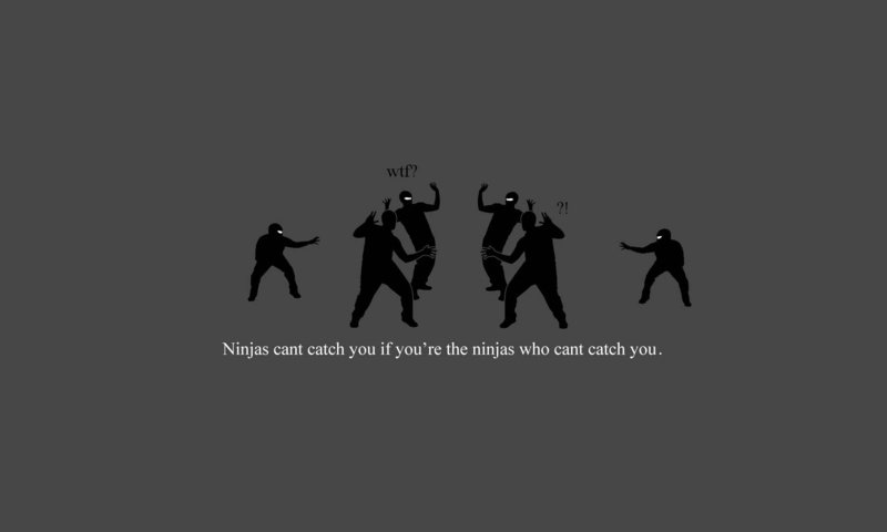 Обои ты, ninjas, can't, улов, you, catch разрешение 1920x1080 Загрузить