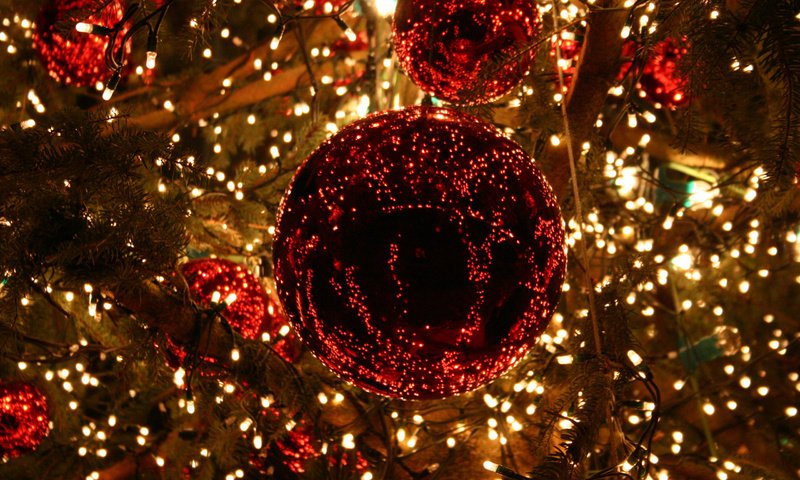 Обои огни, елочные украшения, новогодние игрушки, новый год, новогодний шар, шары, украшения, зима, праздник, рождество, елочные игрушки, lights, christmas toys, new year, christmas ball, balls, decoration, winter, holiday, christmas, christmas decorations разрешение 2560x1600 Загрузить