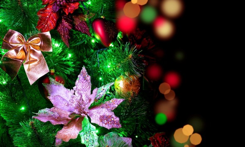 Обои цветы, огоньки, гирлянда, огни, елочные, новый год, с новым годом, елка, боке, шары, 2013, блики, бантики, праздник, елочные украшения, flowers, garland, lights, christmas, new year, happy new year, tree, bokeh, balls, glare, bows, holiday, christmas decorations разрешение 2560x1600 Загрузить