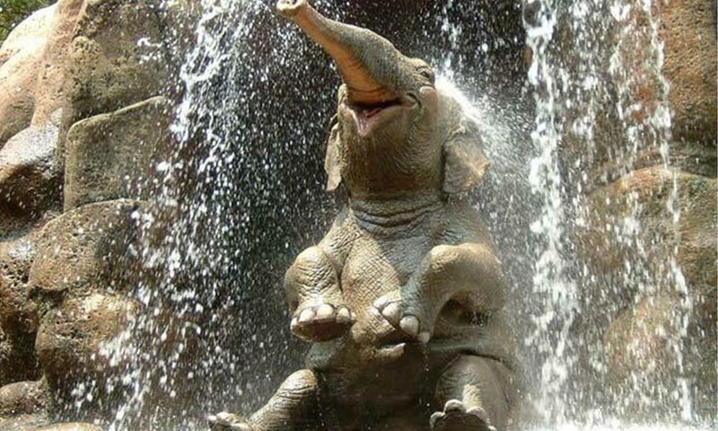 Обои слон, душ, elephant, shower разрешение 2000x1437 Загрузить