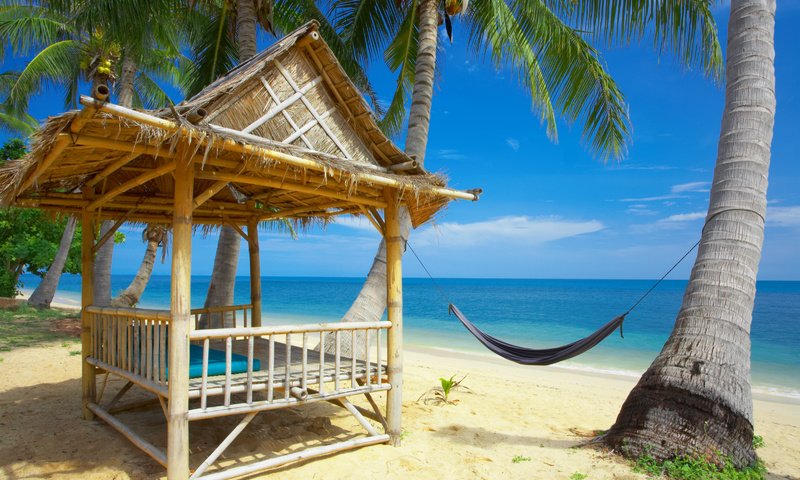 Обои пляж, пальмы, океан, отдых, beach, palm trees, the ocean, stay разрешение 3200x2127 Загрузить