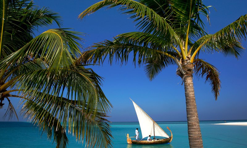 Обои лодка, тропики, мальдивы, boat, tropics, the maldives разрешение 2500x1667 Загрузить