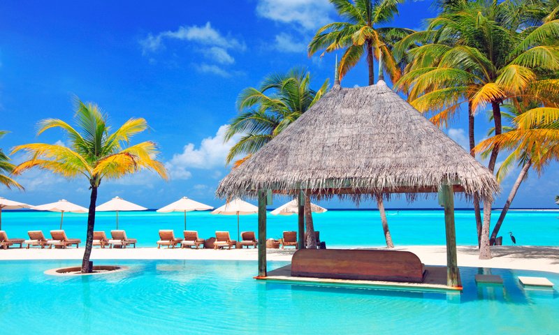 Обои море, пляж, бассейн, отдых, курорт, тропики, мальдивы, sea, beach, pool, stay, resort, tropics, the maldives разрешение 5616x3744 Загрузить