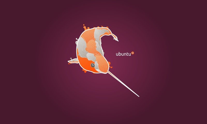Обои единство, убунту, линукс, бубунту, 11.04, natty narwhal, unity, ubuntu, linux разрешение 2560x1600 Загрузить
