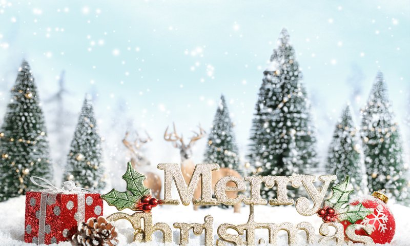 Обои снег, орнаменты, декорация, встреча нового года, presents, счастливого рождества, новогодняя елка, белоцветник, snow, ornaments, decoration, new year, merry christmas, christmas tree, snowflake разрешение 2560x1600 Загрузить