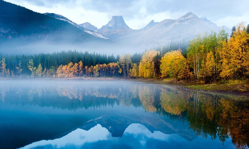 Обои озеро, горы, лес, lake, mountains, forest разрешение 1920x1200 Загрузить