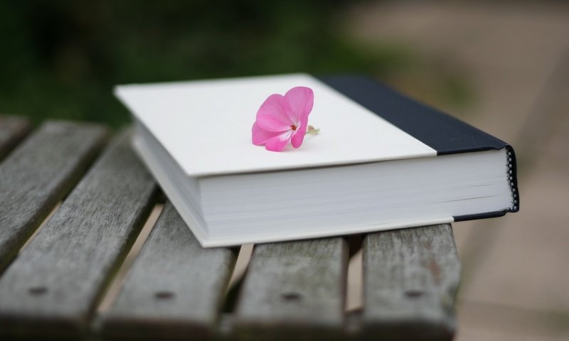 Обои настроение, цветок, скамейка, книга, поверхность, mood, flower, bench, book, surface разрешение 1920x1200 Загрузить