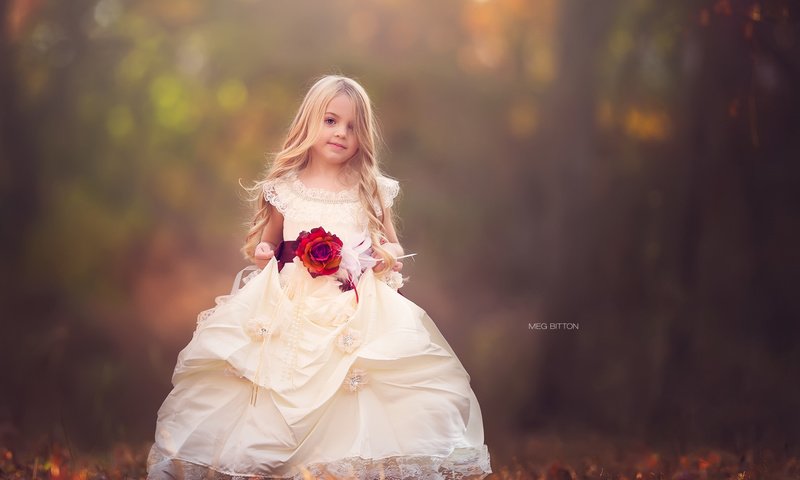 Обои природа, платье, роза, дети, девочка, nature, dress, rose, children, girl разрешение 2048x1462 Загрузить