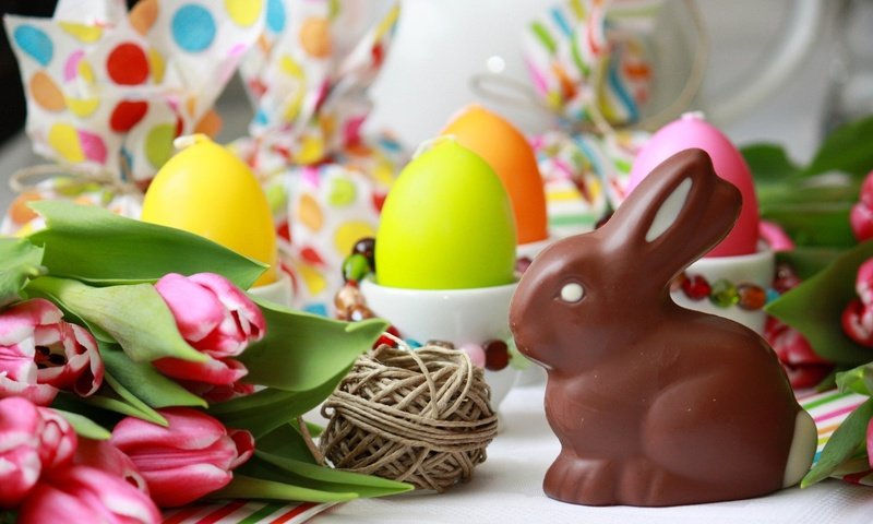 Обои весна, тюльпаны, пасха, яйца, праздник, шоколадный заяц, spring, tulips, easter, eggs, holiday, chocolate bunny разрешение 1920x1359 Загрузить