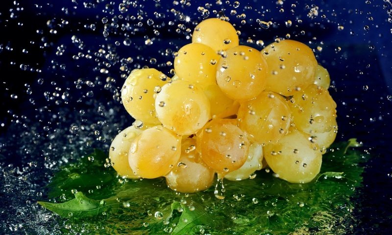 Обои вода, виноград, капли, ягода, лист, гроздь, water, grapes, drops, berry, sheet, bunch разрешение 1920x1253 Загрузить