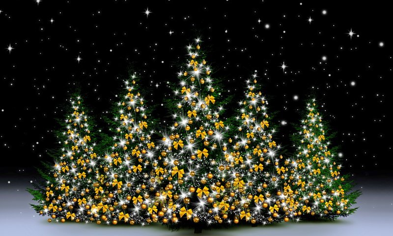 Обои снег, новый год, елка, зима, рождество, декорация, елочная, merry, snow, new year, tree, winter, christmas, decoration разрешение 6750x4500 Загрузить