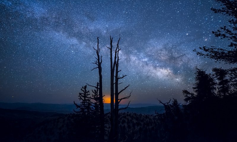 Обои деревья, природа, млечный путь, ночь звезды, trees, nature, the milky way, night star разрешение 2048x1160 Загрузить