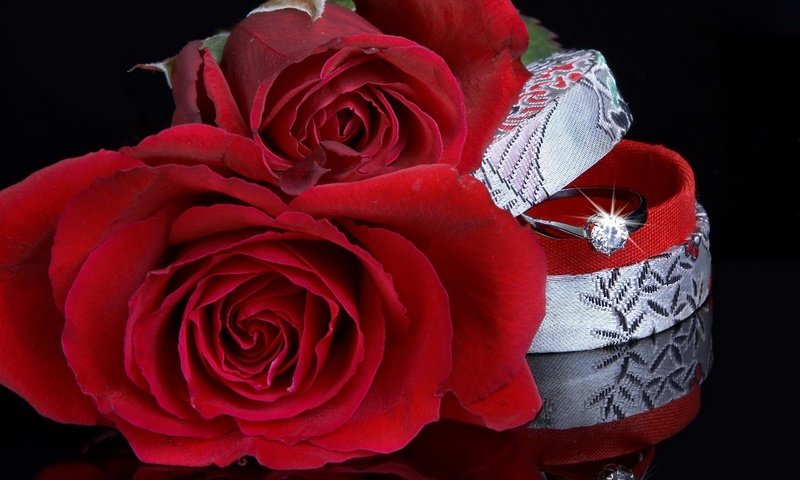 Обои розы, красный, кольцо, свадьба, коробка, roses, red, ring, wedding, box разрешение 2560x1600 Загрузить