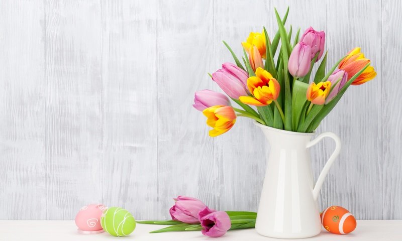 Обои цветы, зеленые пасхальные, довольная, тюльпаны, яйца крашеные, пасха, розовые тюльпаны, тульпаны,  цветы, глазунья, декорация, весенние, пинк, flowers, happy, tulips, the painted eggs, easter, pink tulips, eggs, decoration, spring, pink разрешение 5559x3666 Загрузить