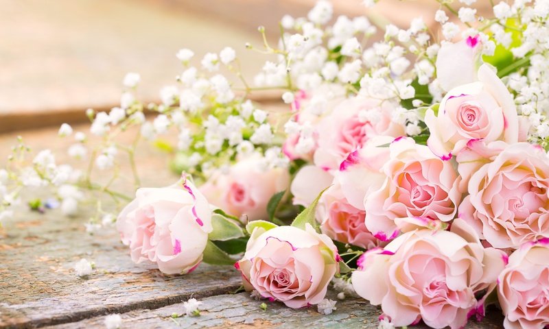 Обои цветы, розы, букет, романтик,  цветы, роз, пинк, flowers, roses, bouquet, romantic, pink разрешение 5472x3648 Загрузить