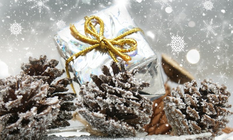Обои новый год, подарок, рождество, шишки, new year, gift, christmas, bumps разрешение 4689x3396 Загрузить