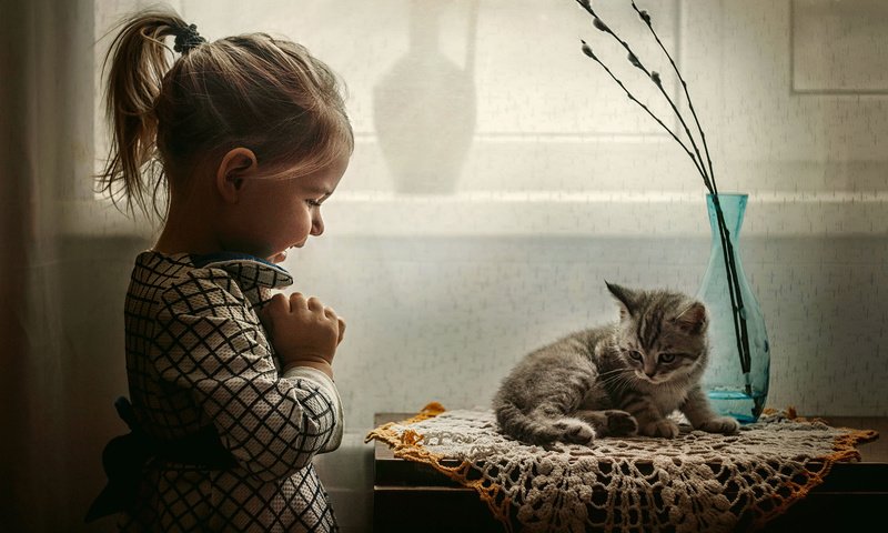 Обои котенок, радость, девочка, ребенок, животное, малышка, kitty, joy, girl, child, animal, baby разрешение 3000x2120 Загрузить