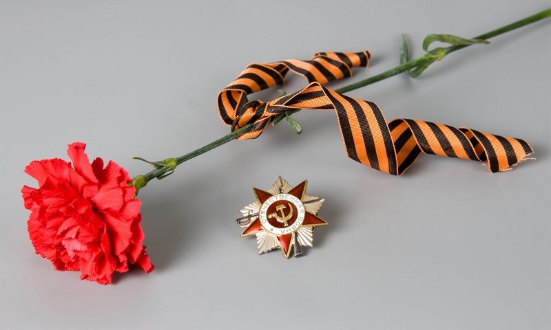 Обои цветок, день победы, 9 мая, гвоздика, георгиевская ленточка, flower, victory day, may 9, carnation, george ribbon разрешение 2560x1600 Загрузить