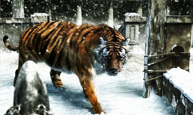 Обои тигр, снег, зима, рендеринг, tiger, snow, winter, rendering разрешение 1920x1200 Загрузить