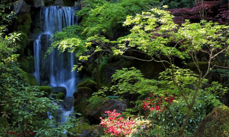 Обои деревья, природа, водопад, сад, сша, орегон, портленд, trees, nature, waterfall, garden, usa, oregon, portland разрешение 3072x2048 Загрузить