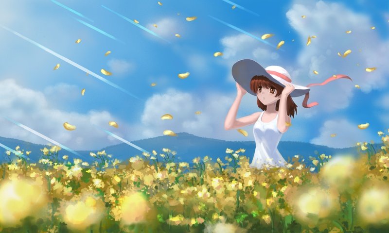 Обои облака, поле, лепестки, шляпа, clannad, furukawa nagisa, clouds, field, petals, hat разрешение 3840x2160 Загрузить