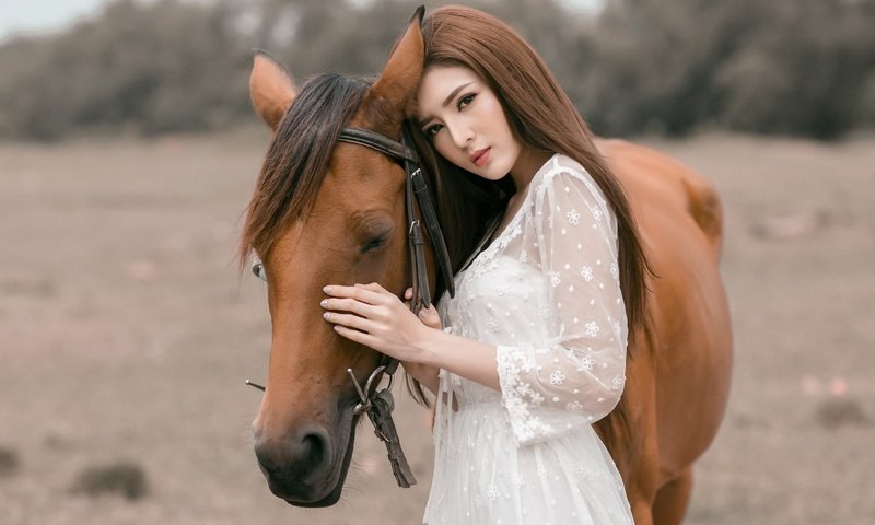 Обои лошадь, девушка, взгляд, волосы, лицо, конь, грива, азиатка, белое платье, white dress, horse, girl, look, hair, face, mane, asian разрешение 1944x1285 Загрузить
