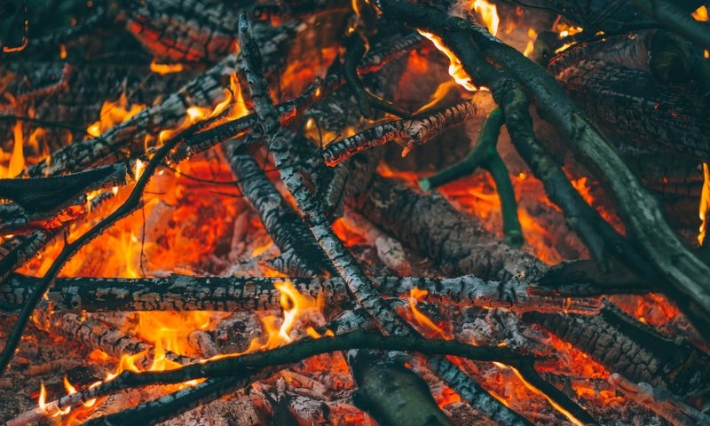 Обои пламя, огонь, угли, костёр, пепел, flame, fire, coal, the fire, ash разрешение 5184x3456 Загрузить