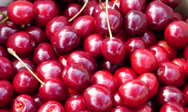 Обои черешня, ягоды, вишня, cherry, berries разрешение 4000x3000 Загрузить