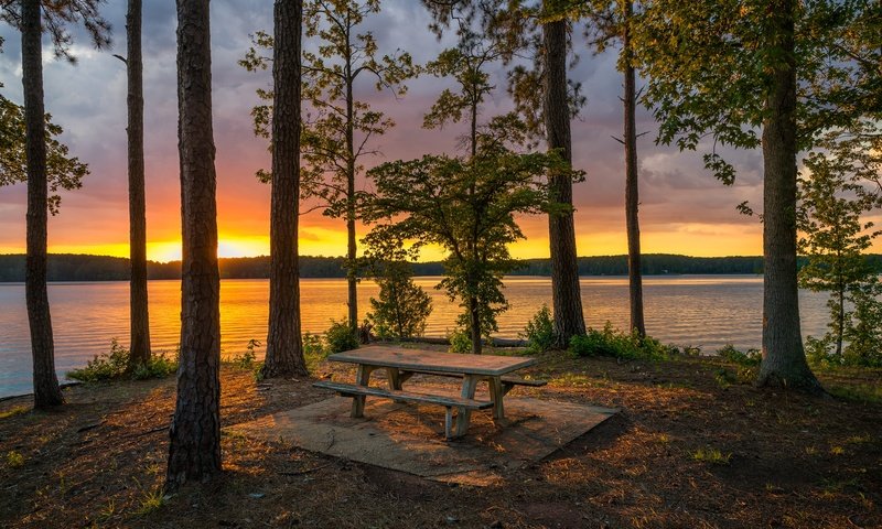 Обои деревья, озеро, берег, лес, закат, стволы, скамейка, trees, lake, shore, forest, sunset, trunks, bench разрешение 2048x1366 Загрузить