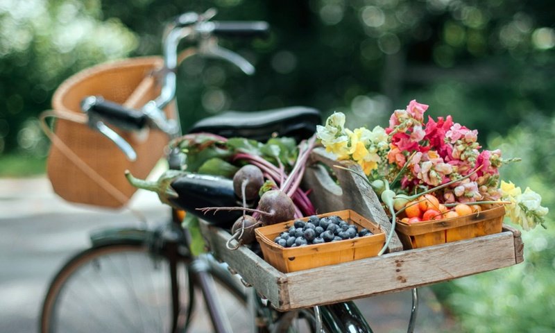 Обои цветы, лето, фрукты, овощи, велосипед, боке, flowers, summer, fruit, vegetables, bike, bokeh разрешение 2048x1383 Загрузить