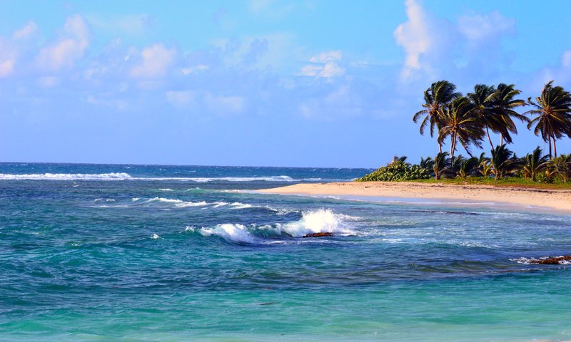 Обои море, пляж, остров, тропики, sea, beach, island, tropics разрешение 6016x4000 Загрузить