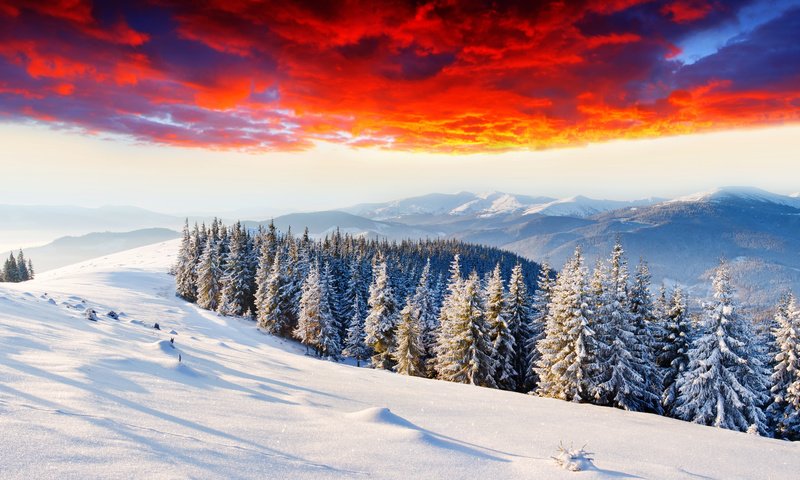 Обои небо, горизонт, облака, елки, горы, зарево, снег, природа, лес, закат, зима, the sky, horizon, clouds, tree, mountains, glow, snow, nature, forest, sunset, winter разрешение 6452x3268 Загрузить