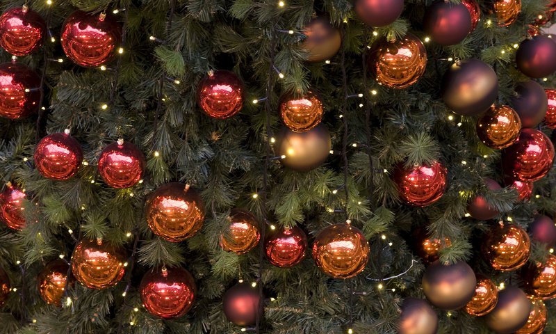 Обои новый год, новогодний шар, елка, шары, праздник, рождество, елочные игрушки, елочные украшения, гирлянда, новогодние игрушки, christmas toys, new year, christmas ball, tree, balls, holiday, christmas, christmas decorations, garland разрешение 2880x1800 Загрузить